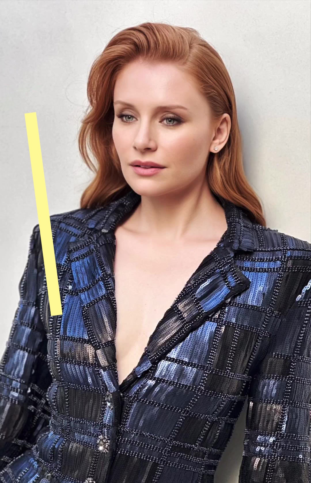 photo BRYCE DALLAS HOWARD (26)