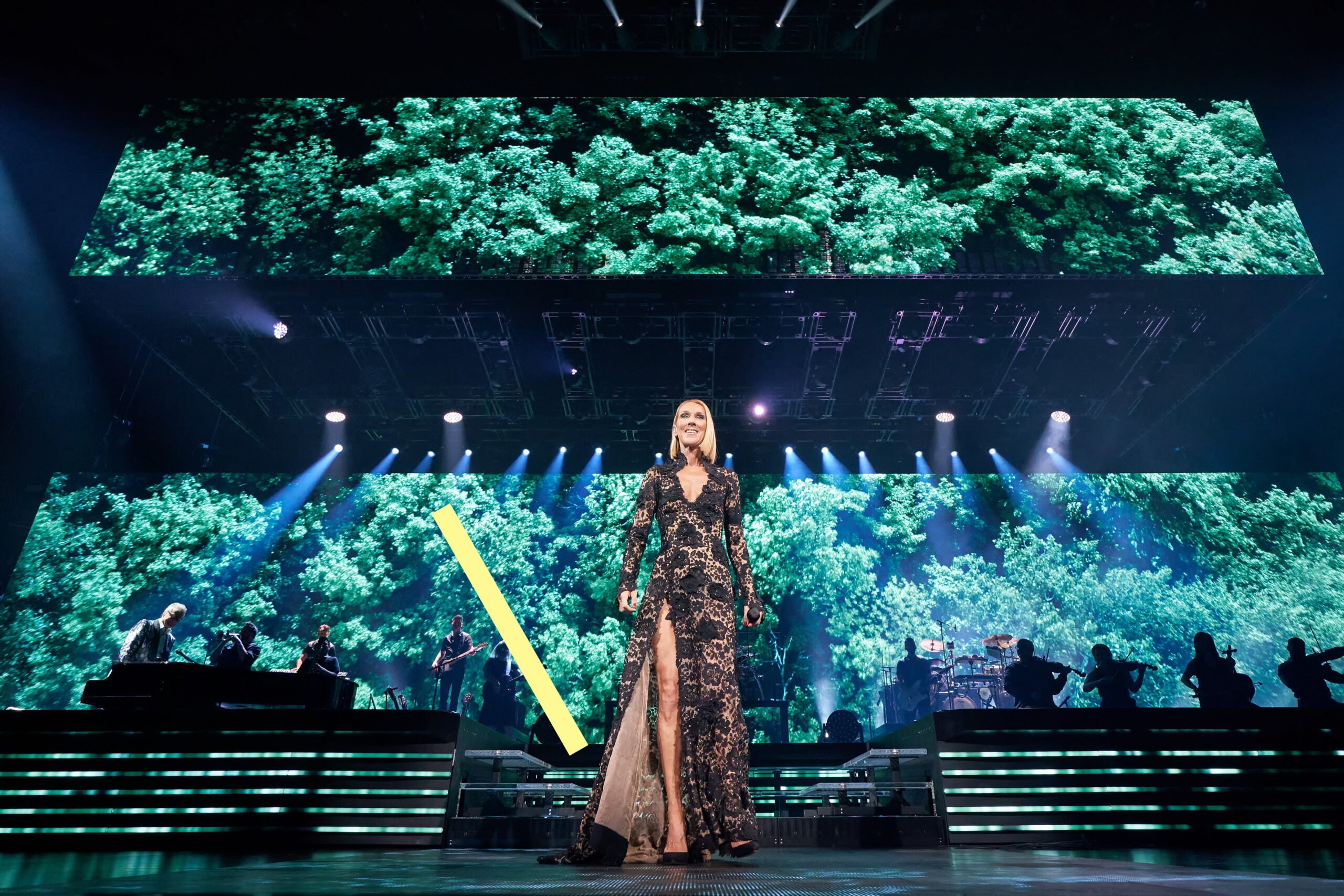 photo CELINE DION (139)