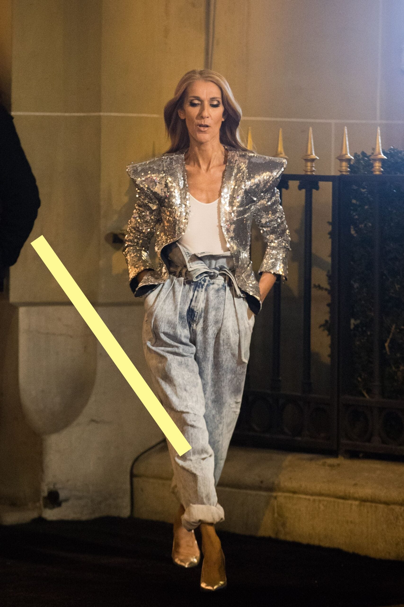 photo CELINE DION (145)