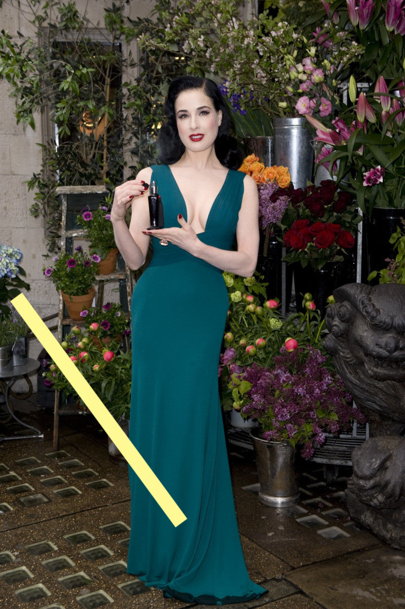 photo DITA VON TEESE (2243)