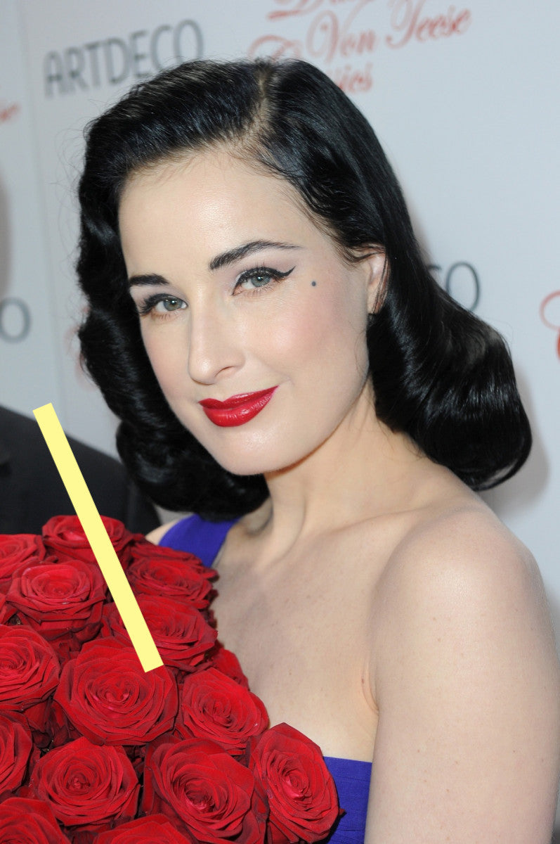 photo DITA VON TEESE (2259)
