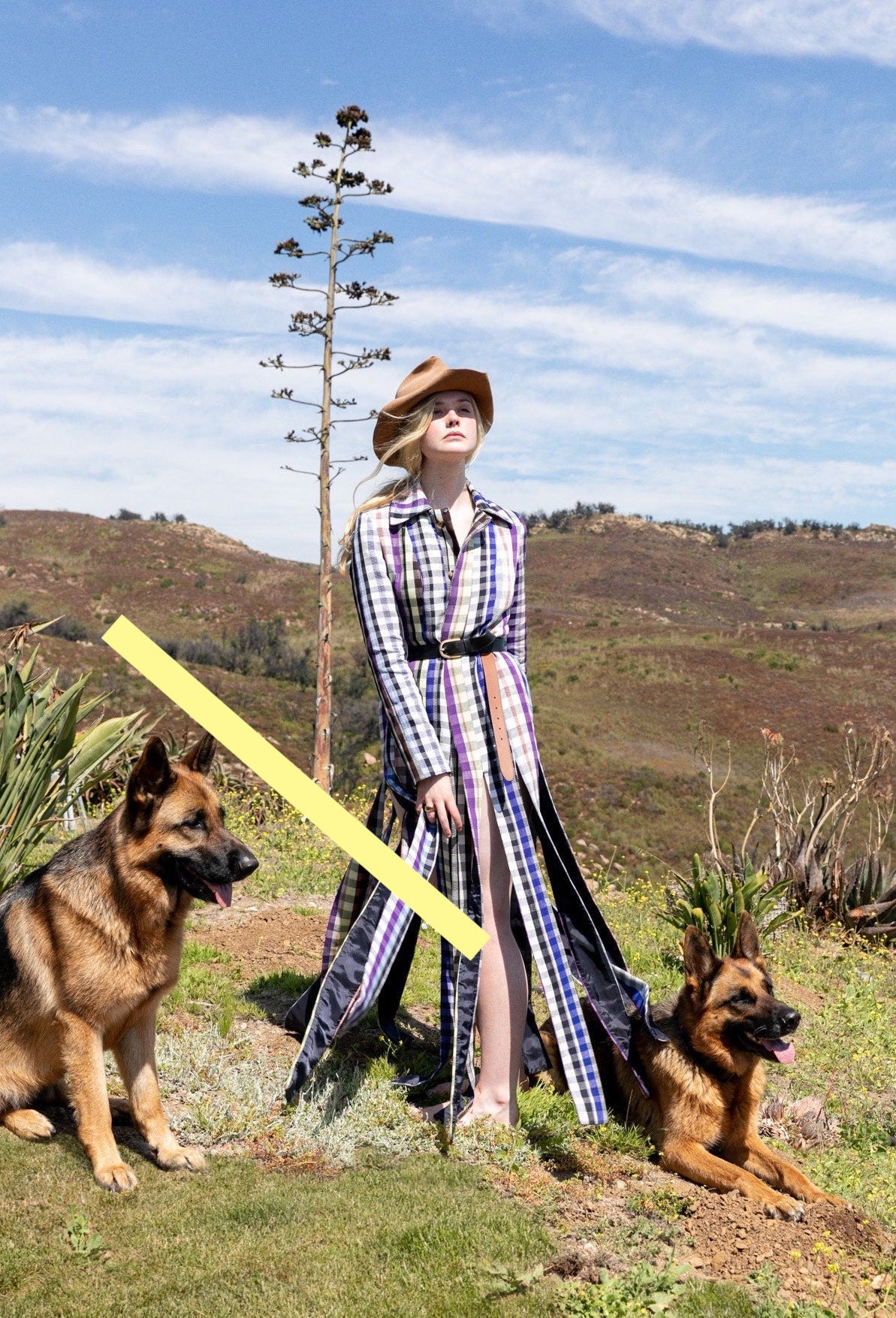 photo ELLE FANNING (2228)