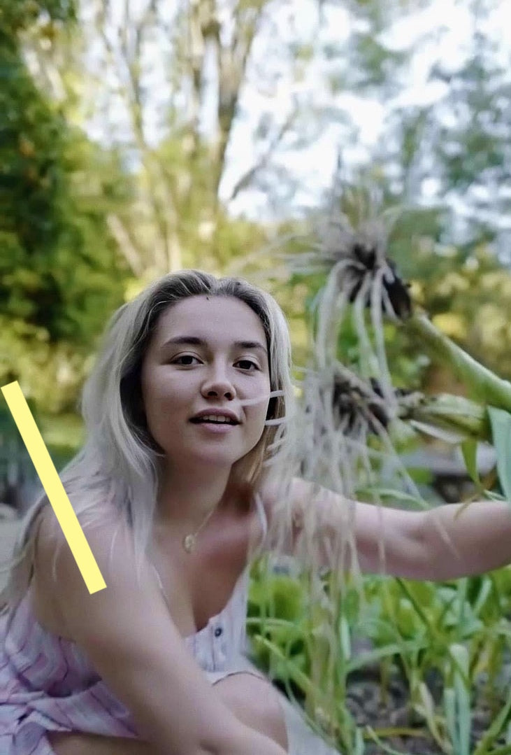 photo FLORENCE PUGH (71)