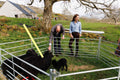 photo KATE MIDDLETON (6711)