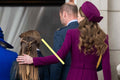 photo KATE MIDDLETON (6726)