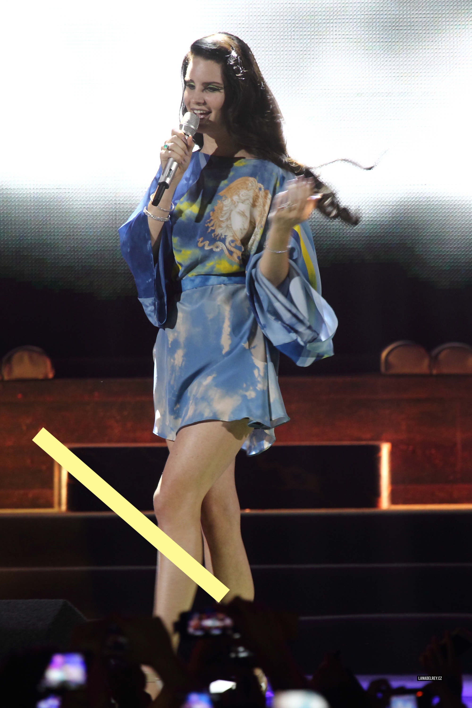 photo LANA DEL REY (2103)