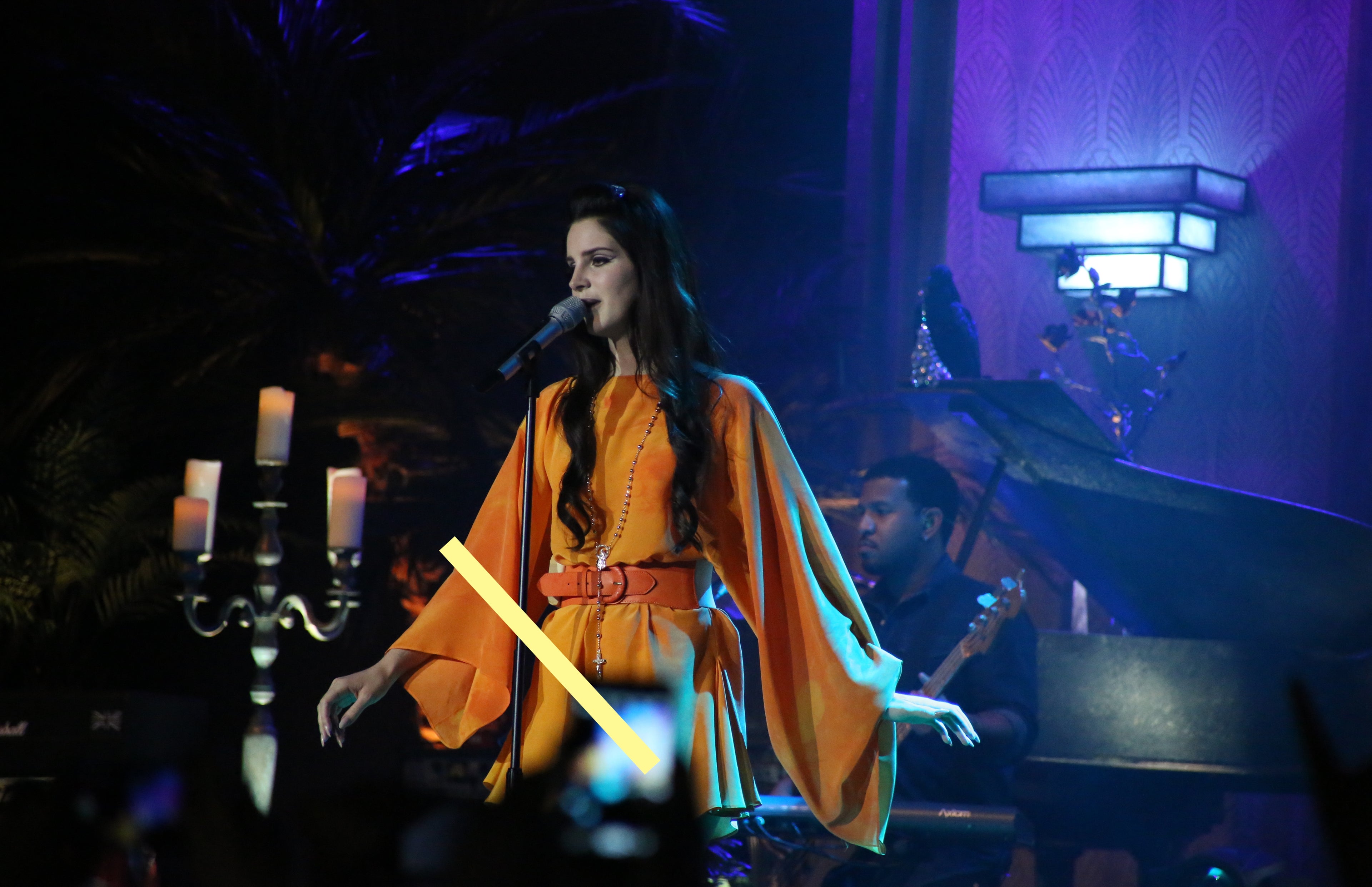 photo LANA DEL REY (2105)