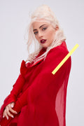 photo LADY GAGA (899)