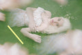 photo SKY FERREIRA (69)