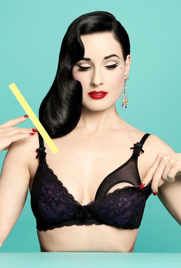 photo DITA VON TEESE  (1386)