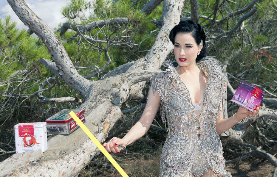 photo DITA VON TEESE  (1390)