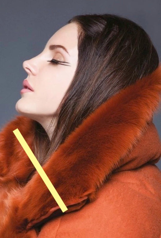 photo LANA DEL REY (157)