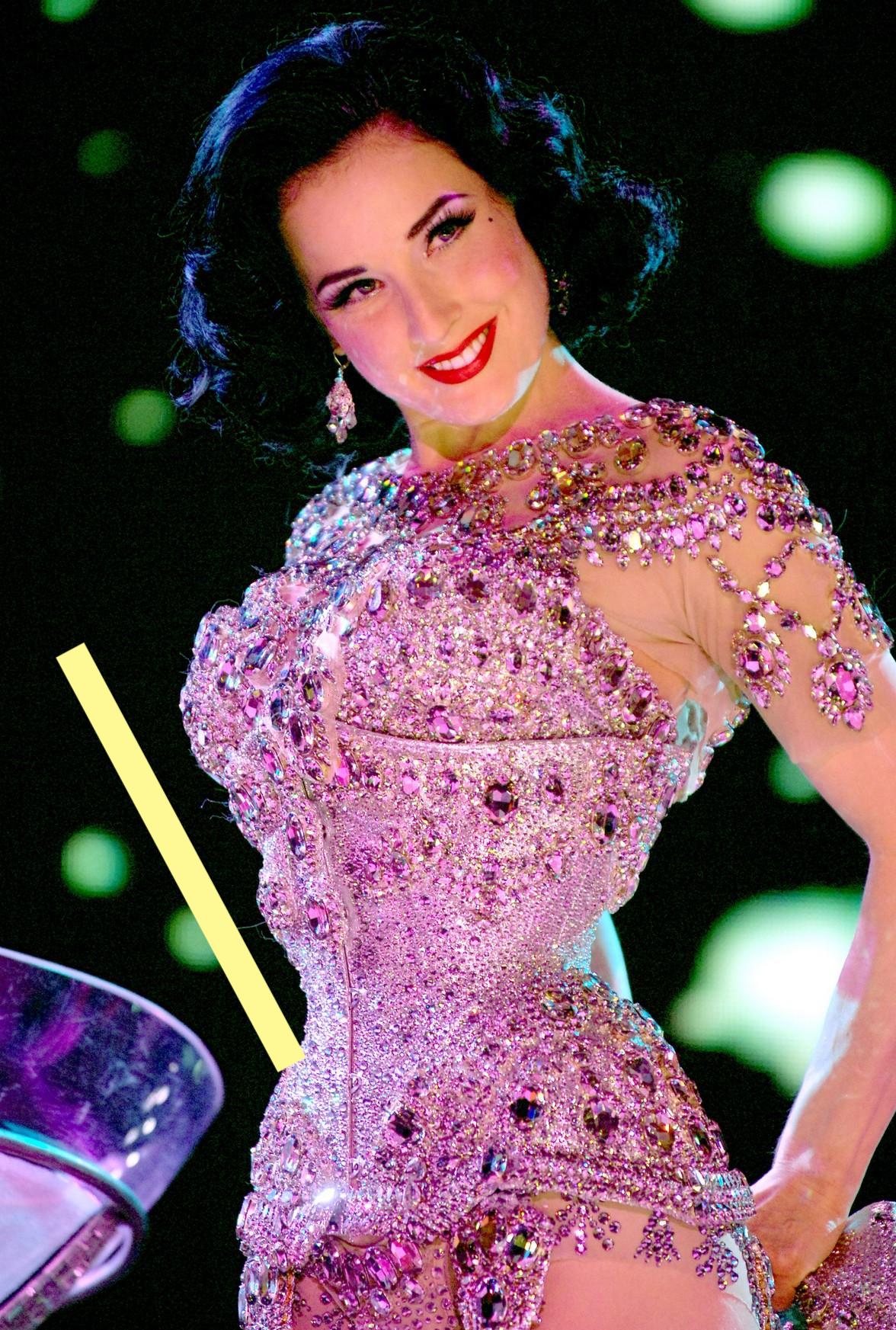 photo DITA VON TEESE (613)