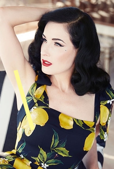 photo DITA VON TEESE (1279)